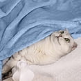 thumbnail image 5 of RnemiTe-amo Dog Blanket,Cat Plush Blanket,Soft Fuzzy Blankets for Puppy,Fluffy Blankets Plush Fleece Throw Dog Bed, Couch, Sofa, Reversible Travel Warm Covers,39"x47", 5 of 9