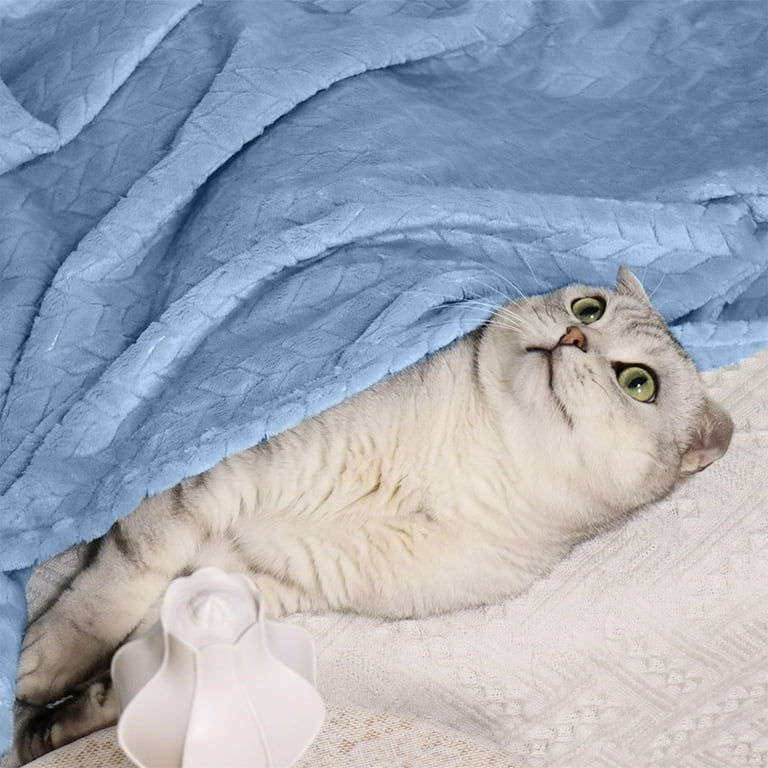 JikouIivo Premium Soft Cat Blanket Essentials Cat Products Cat Calming Blankets Throw for Small Cats 39.37 47.24 inches Blue Walmart