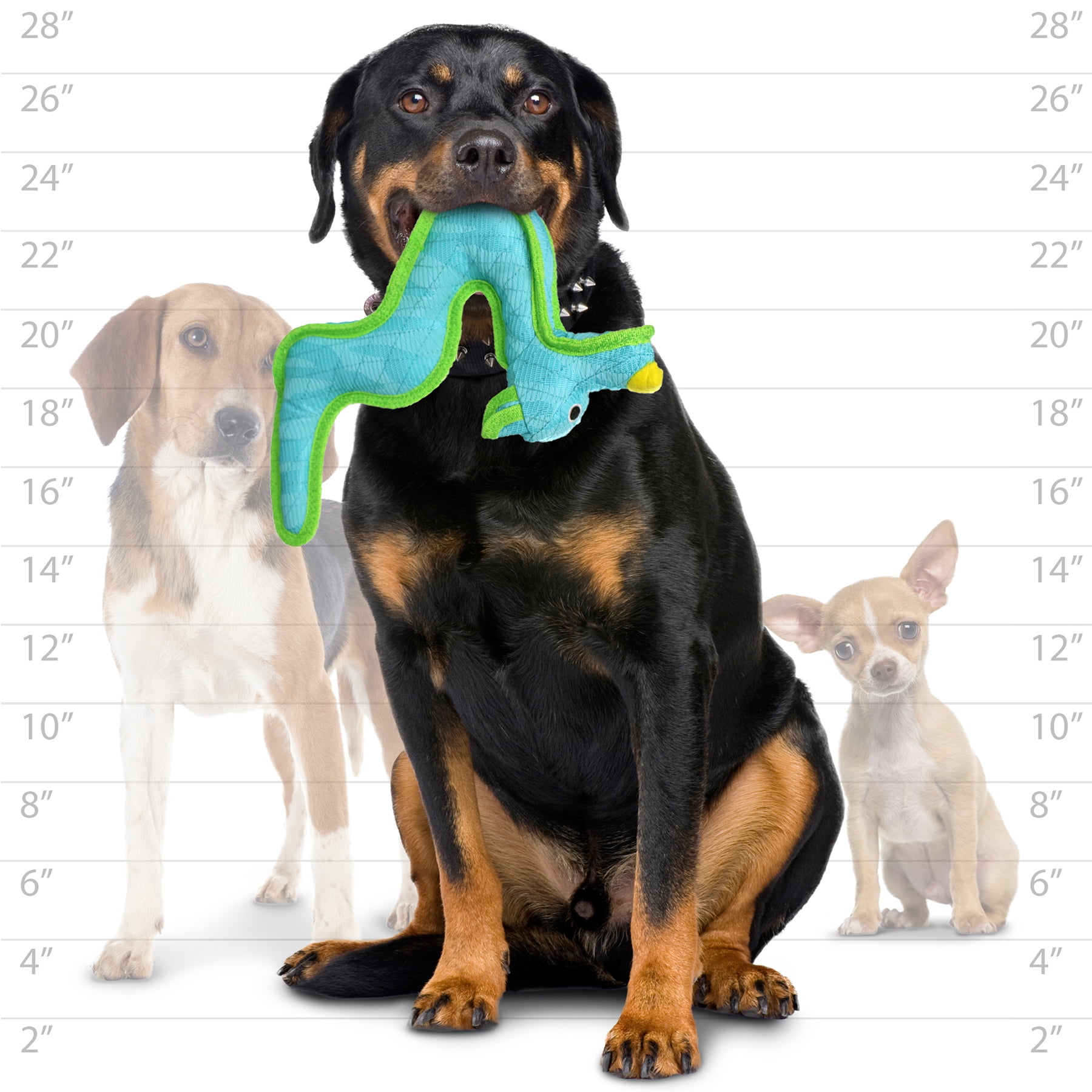 DuraForce Dragon Tiger Blue-Green, 2-Pack, Durable Woven Mesh Fiber Squeaky Dog Toy