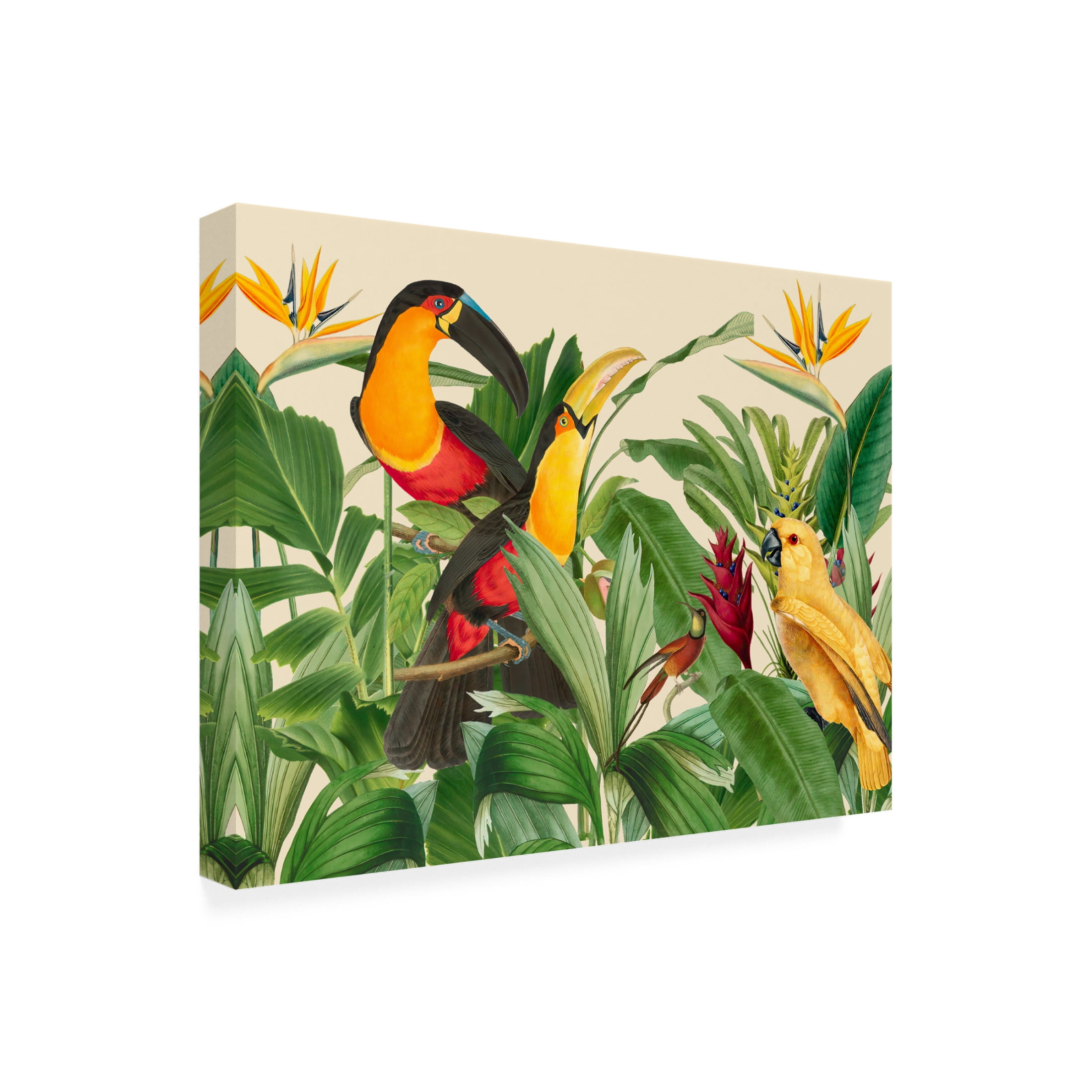 Trademark Fine Art Andrea Haase Rain Forest Bird Garden Canvas Wall Art