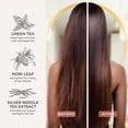 thumbnail image 3 of cibu Color Shampoo 30011 For Dry, Color-Treated Hair Protects Color 11.83oz, 3 of 6