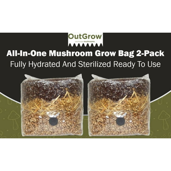 All in One Mushroom Grow Bag - Manure Based, 2 Pack