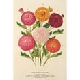 thumbnail image 2 of Charles Antoine Lemaire 17x24 Gold Ornate Framed and Double Matted Museum Art Print Titled - Fall Chrysanthemum (1854-1896), 2 of 4