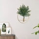 thumbnail image 1 of Xihbxyly Decoración de Pared con Plantas, Aro Colgante de Metal Dorado, Vegetación Artificial Realista, Decoración Versátil para El Hogar o La Oficina, Bodas, Fiestas, Navidad, 30 X 30 Cm, 40 X 40 Cm, 1 of 7