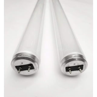 Appliance Light Bulbs in Specialty Light Bulbs 