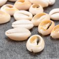 thumbnail image 3 of 100 Pcs de Coquille Naturelle Accessoires diy (11*17mm 100 Pcs), 3 of 10
