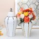 thumbnail image 1 of Cateissary Modern Ginger Jar Handicraft Centerpiece with Lid for Decor Display Decoración del hogar, 1 of 6