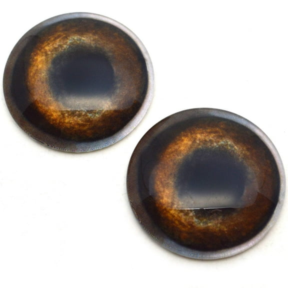 Medium Brown Dog Glass Eyes