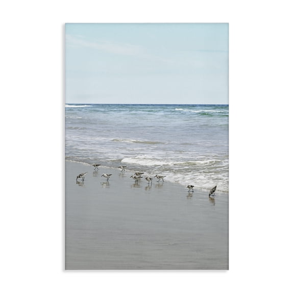 Stupell Industries Energetic Beach Birds Nautical & Beach Photography Wrapped Canvas Art Print Wall Art, 16 x 24