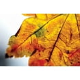 thumbnail image 2 of Erin Berzel 4x24 White Modern Wood Framed Wall Art Titled - Autumn Colors I, 2 of 5
