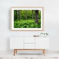 thumbnail image 5 of Ferns - Virginia Photography Oak Framed Wall Art Print 24 x 36 inches, 5 of 6