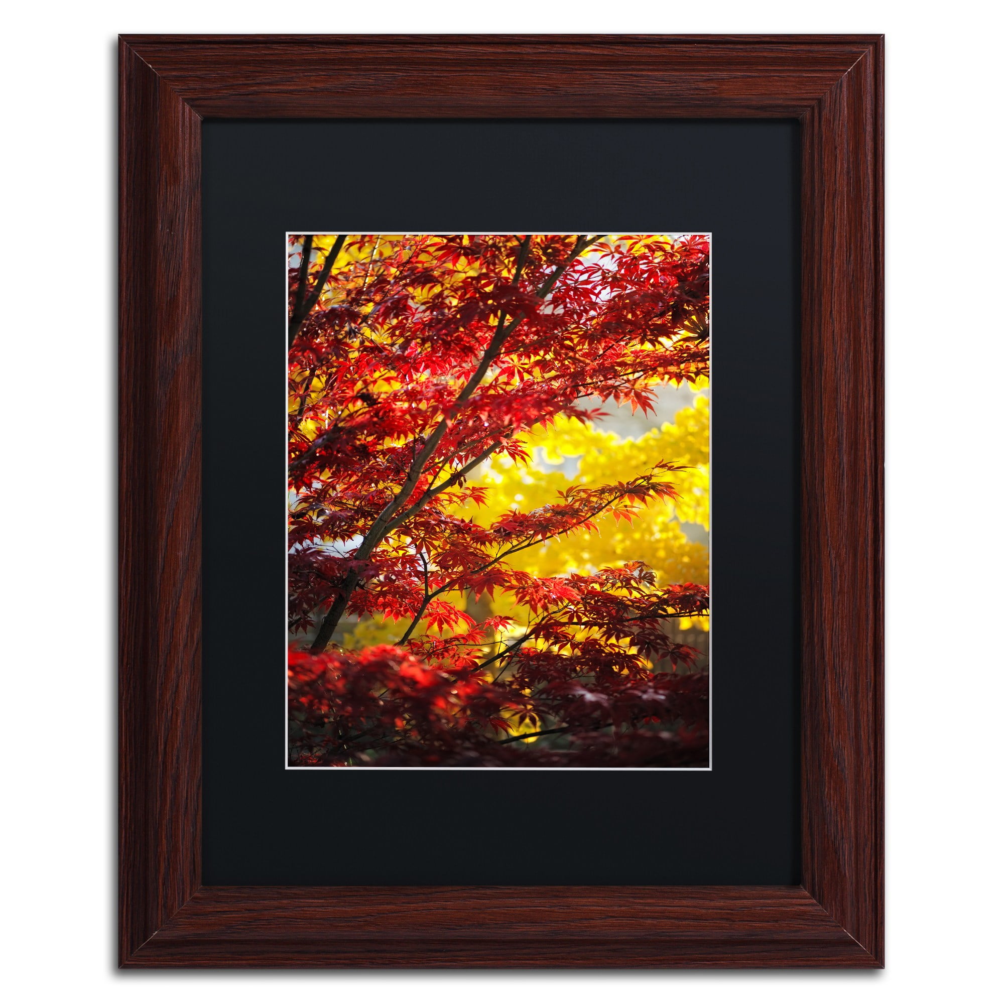 Trademark Fine Art "I Believe" Canvas Art by Philippe Sainte-Laudy Black Matte, Wood Frame