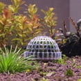 thumbnail image 4 of Mdesiwst Marimo Moss Ball Filter Live Aquarium Aquatic Plants Fish Shrimp Tank Pet Decor, 4 of 8