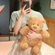 thumbnail image 2 of Oso de peluche de alta calidad para niños y niñas, muñeco de peluche de 20-30cm, bonito Animal de peluche, regalo de Navidad, 2 of 5