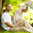 thumbnail image 4 of Dog Collar With Leash, PU Leather Dog Collars For Bull, Studded For Small Medium Large Dog Pink, 4 of 4