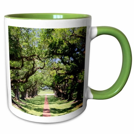 3dRose Louisiana, New Orleans, Vacherie. Oak Alley Plantation, old oak trees. - Two Tone Green Mug,