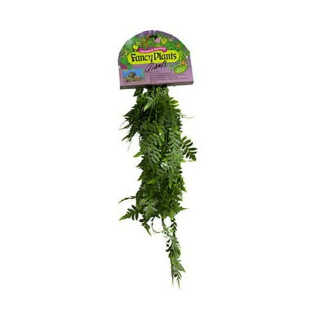 Fancyplants Giant Tony Fern