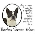 thumbnail image 2 of CafePress - Boston Terrier Mom - Sherpa Fleece Throw Blanket 60" x 50", 2 of 5