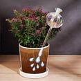 thumbnail image 5 of 2X Riego Automático de Plantas de Vidrio, Forma de Bulbos, Flor, Planta, Gotero de Agua, Dispositivo para Plantas de Interior, de Riego por, 5 of 5