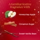 thumbnail image 3 of Recarga para ambientador en aerosol automático Glade Warm Apple & Spices 180 ml, 3 of 7