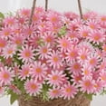 thumbnail image 3 of Artificial Chamomile Silk Flowers Bouquet for Wedding and Home Decor, Realistic Long Stem Daisies for Vases, Centerpieces, and Office Arrangement, 3 of 4