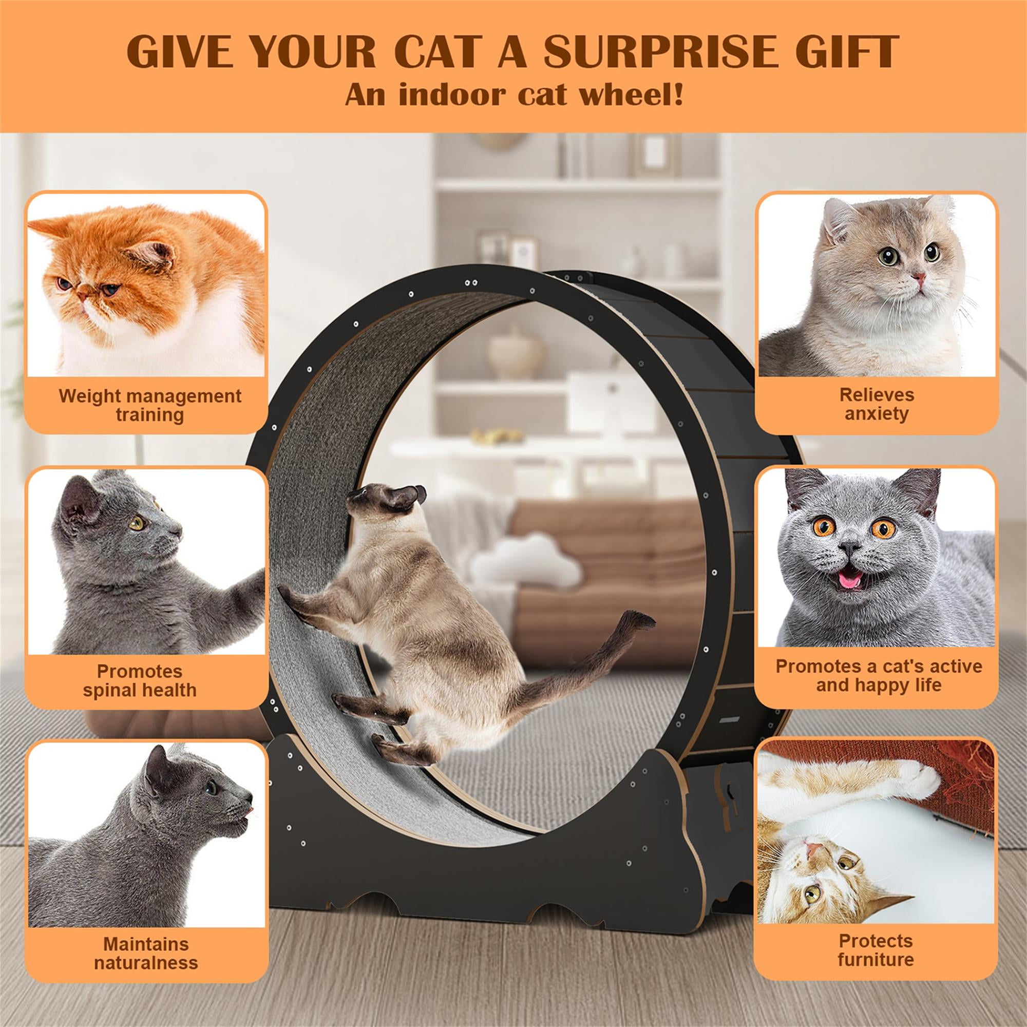 Kadyn 45" Cat Exercise Wheel for Indoor Cats, Large Cat Running Wheels, Cat Treadmill Wheel with Locking Mechanism for Cat's Healthy, Black Kadyn 45" Cat Exercise Wheel for Indoor Cats, Large Cat Running Wheels, Cat Treadmill Wheel with Locking Mechanism for Cat's Healthy, Black