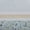 Aqua, variant on Madison Park Full/Queen Size 5 Piece Seersucker Comforter Set with Throw Pillows Aqua,Bed in a Bag,All Season Bed Set,Cozy and Lightweight