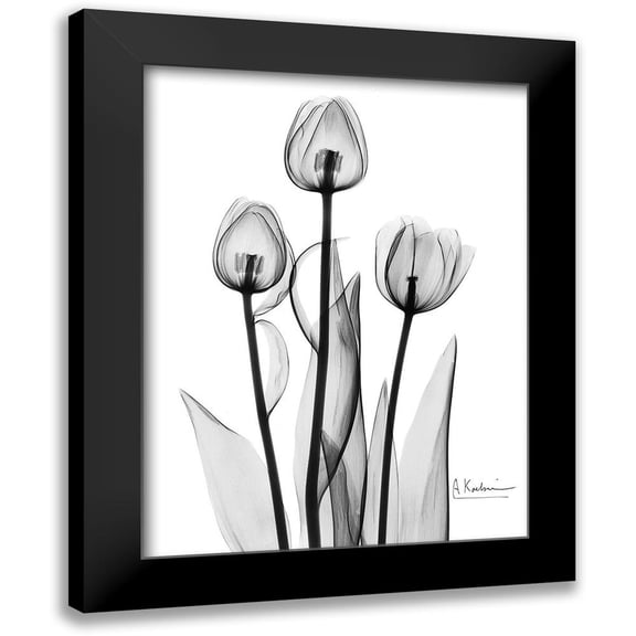 Koetsier, Albert 12x14 Black Modern Framed Museum Art Print Titled - Tulips Black and White