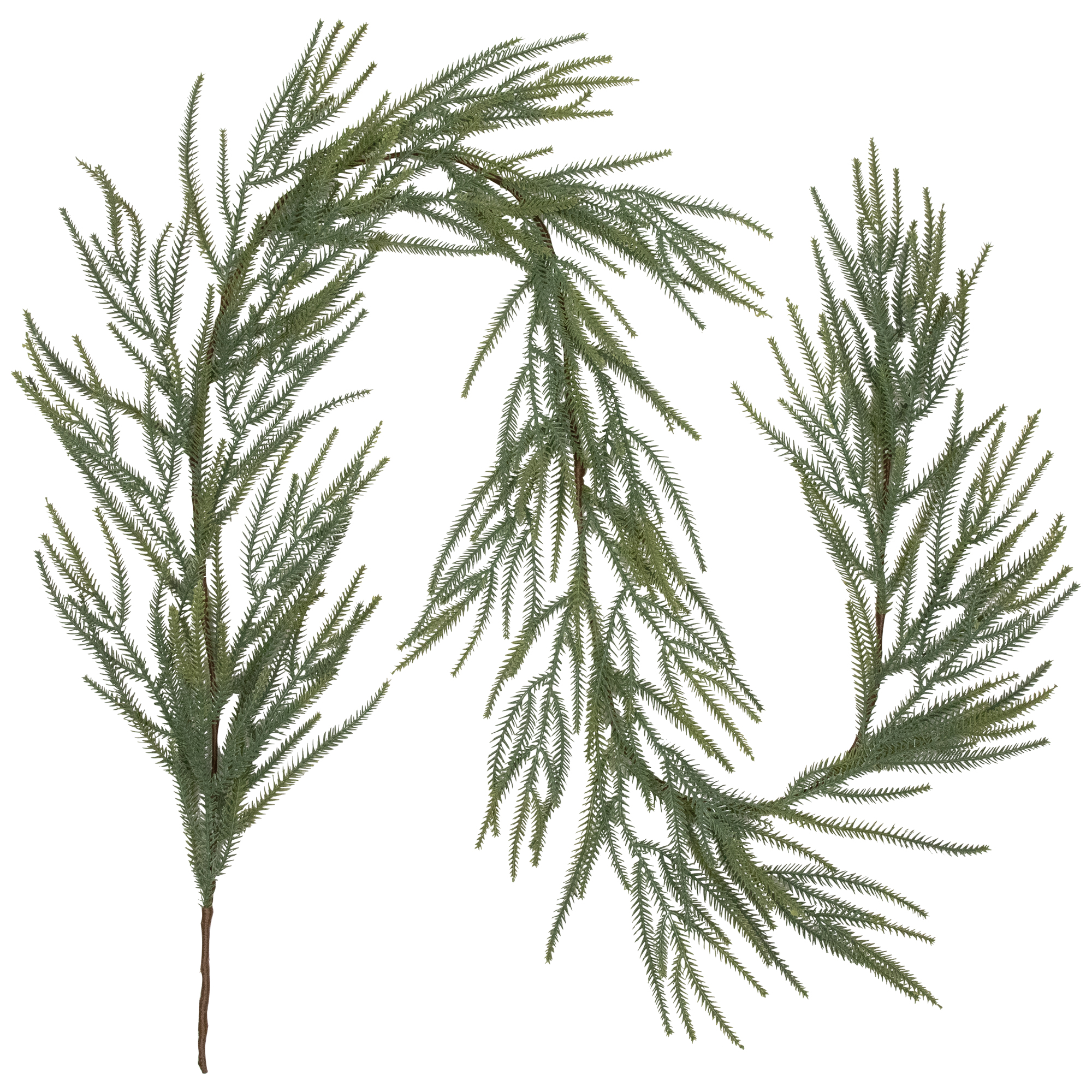 Northlight Norfolk Pine Artificial Christmas Garland - 7' - Unlit