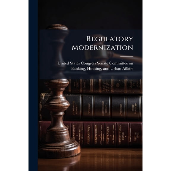 Regulatory Modernization : Perspectives On Insurance (Paperback)