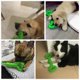 thumbnail image 4 of Juguetes para masticar para perros Cachorros de juguete para perros con forma de hueso de goma duradera de 13 pulgadas con diseño convexo Juguete interactivo fuerte para perros para masticadores agresivos, perros pequeños y grandes JM, 4 of 5