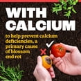 thumbnail image 5 of Pennington Full Season Tomato & Vegetable Plant Food 10-15-15, 2lb, 5 of 12