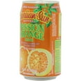 thumbnail image 2 of Hawaiian Sun Juice, Orange Passion, 11.5 Fl Oz (Pack Of 24), 2 of 3