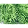 thumbnail image 4 of Grass Green Extra Long Eyelash Yarn Ice Luxurious Fun Fur 50gr 38yds, 4 of 4