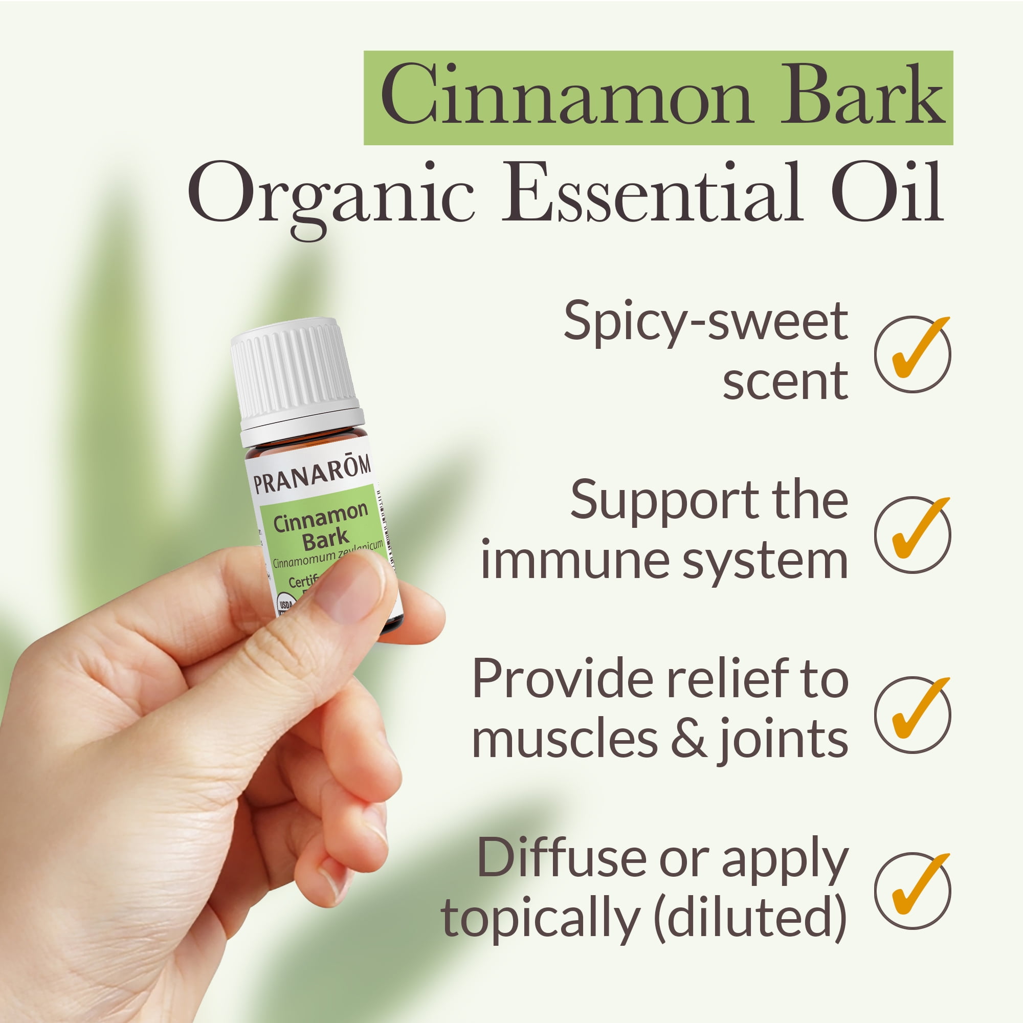 Pranarom - Cinnamon Bark Oil (5ml) - 100% Pure Natural Therapeutic Grade Essential Oil for Skincare and Wellness | USDA and ECOCERT Certified Organic
