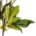 thumbnail image 3 of Vickerman 23" Artificial Coffee Peony Spray., 3 of 7