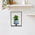 thumbnail image 1 of OULII Estante De Pared Negro Para Plantas Con Instalación Sencilla Y, 1 of 8