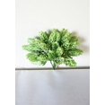 thumbnail image 4 of Sweet Home Deco 7'' Artificial Hops Greenery Craft Picks for Floral Designs (6 Picks) (Green), 4 of 10