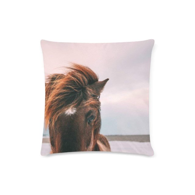 ABPHQTO Caballo Serie 2 Fundas de almohada Fundas de almohada de tiro de sofá Impresión de dos lados 45x45 cm