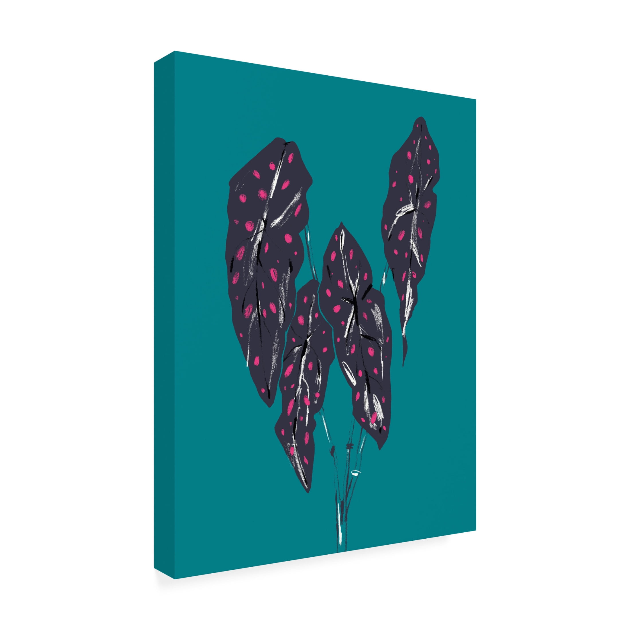 Trademark Fine Art Francesco Gulina Begonia Maculata Dark Canvas Wall Art