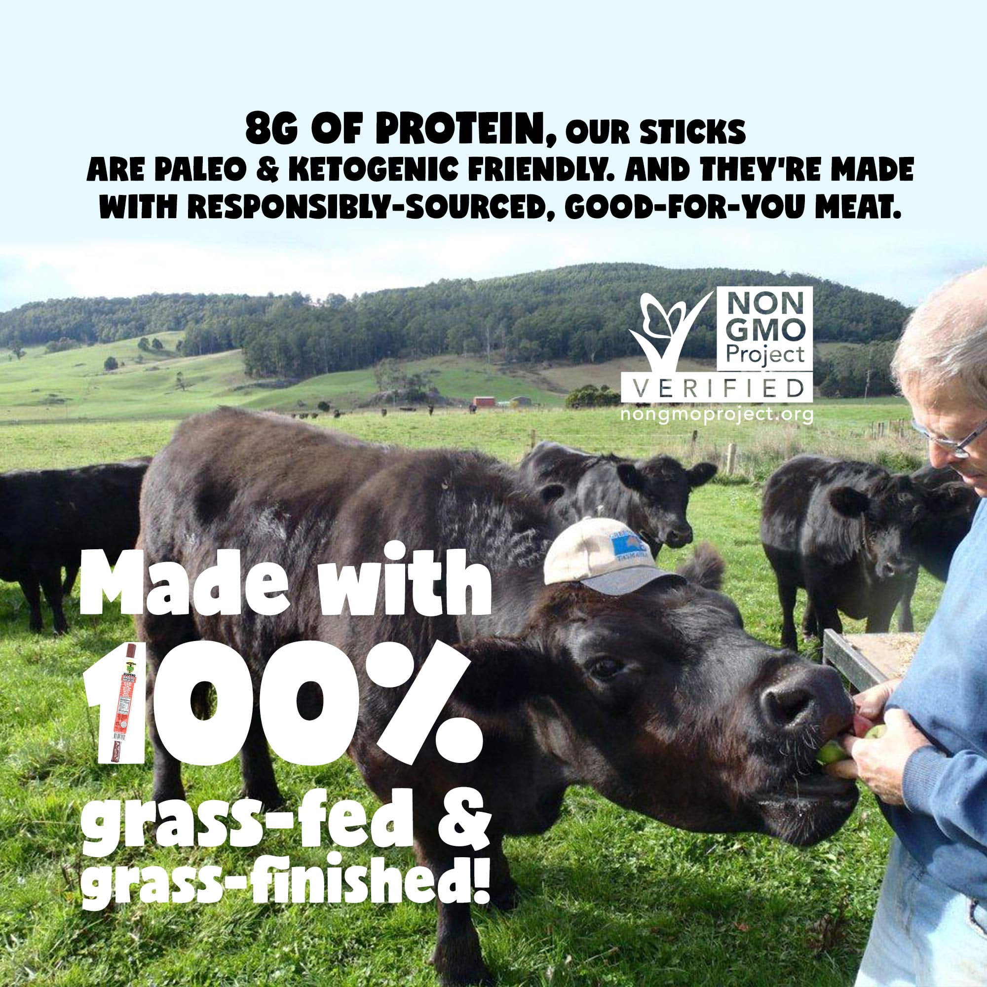 100% Grass-Fed Variety Pack Beef Sticks: MSG, Gluten and Soy Free, Never Given Antibiotics or Hormones (4 Original, 4 Jalapeno, 4 Smokey Sweet Flavor, 72-Count Variety, 1-oz Stick)