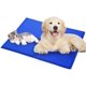 thumbnail image 1 of Alfombrilla refrescante para mascotas - para perros y gatos con gel autorefrigerante no tóxico, (S 40x30cm) ShuxiuWang 9024715371171, 1 of 1