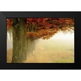 thumbnail image 2 of Sillen, Christina 14x11 Black Modern Framed Museum Art Print Titled - Autumn Fog, 2 of 5