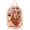 Strawberry Shortcake 1, variant on Strawberry Shortcake Mini Backpack for Kids & Adults 10" PU Leather Backpack Purse Toddler Travel Bag, Small Bookbag, Lightweight Rucksack for School, Travel, or Everyday Use Ages 3+