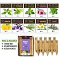 thumbnail image 2 of Herb Garden Seeds for Planting - 10 Medicinal Herbs Seed Packets Non GMO, Wood Gift Box, Plant Markers - Herbal Tea Gifts for Tea Lovers, Herb Growing Kit Indoor Garden Starter Kit, 2 of 8