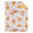 thumbnail image 3 of Disney Winnie the Pooh Summertime Fun Sherpa Baby Blanket, 3 of 6