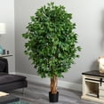 thumbnail image 6 of Nearly Natural 5.5' Ficus Artificial Tree, 6 of 7