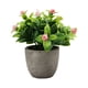 thumbnail image 2 of Bearachild Suculenta artificial para una mayor durabilidad Verde Fácil de limpiar Elegante Decoración nuevo babysbreath rosa, 2 of 6
