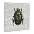 thumbnail image 3 of Stupell Industries Transitional Beetle with Botanical Pattern Canvas Art, 17 x 17, by Danhui Nai, 3 of 8