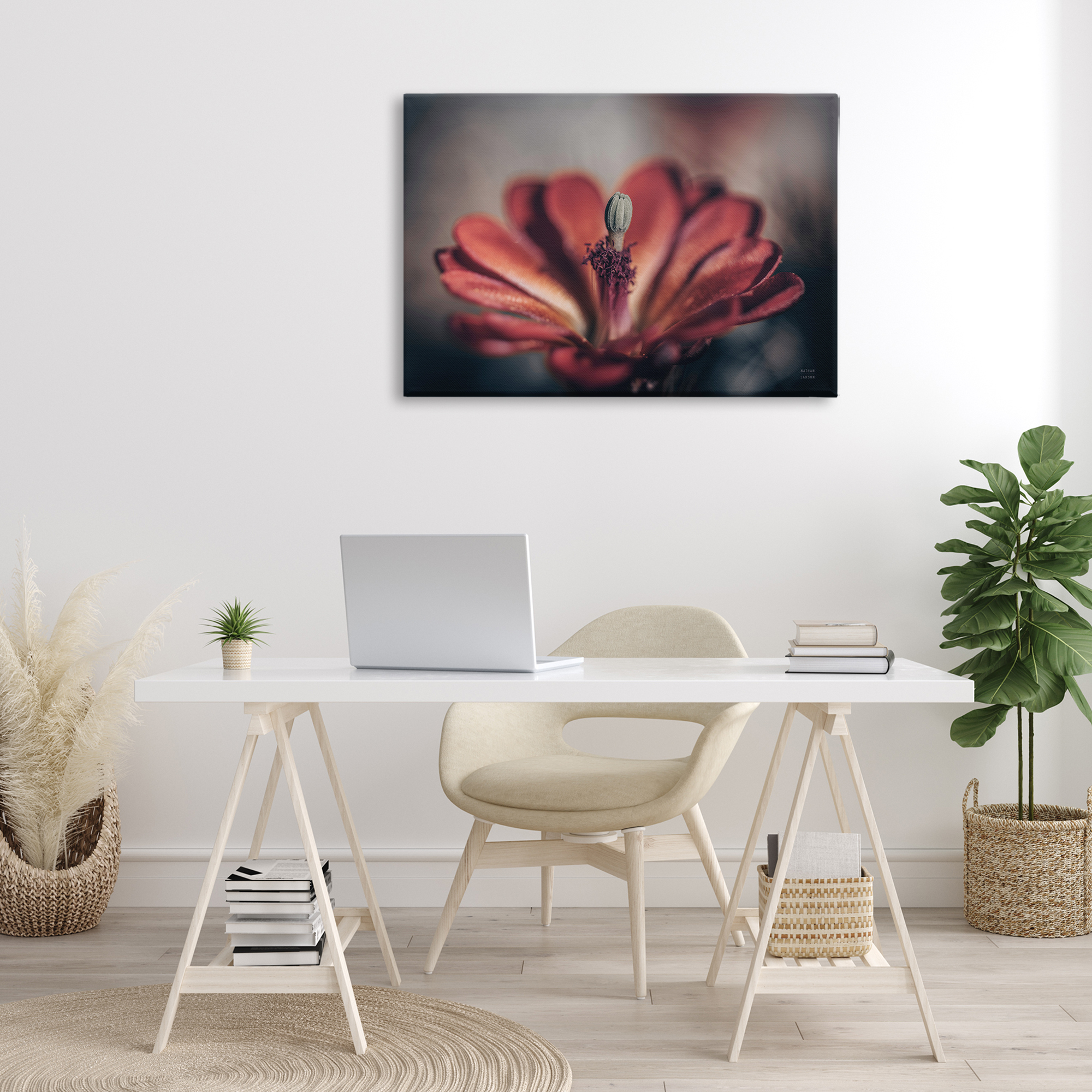 Stupell Industries Red Elevation Bloom Botanical & Floral Photography Gallery Wrapped Canvas Art Print Wall Art, 36 x 24